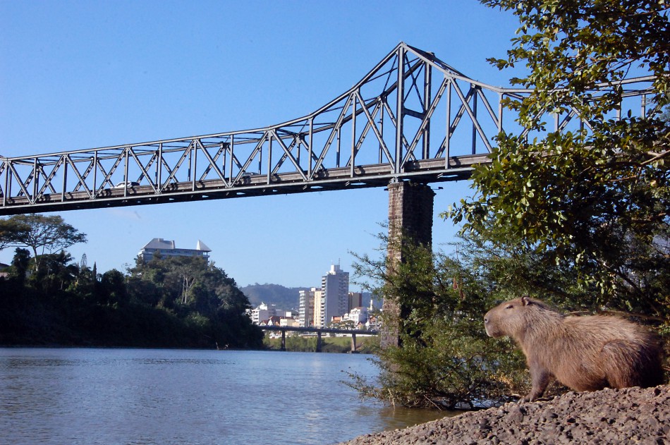 Prefeitura realiza limpeza da Ponte de Ferro e do túnel neste sábado