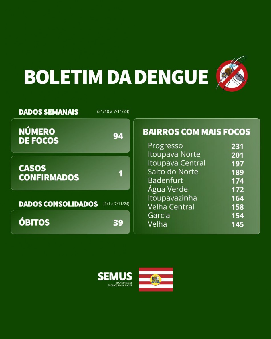 Boletim Dengue - 31/10 e 7/11/2024